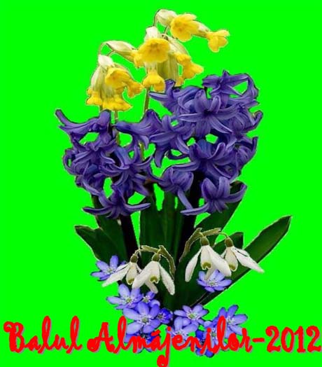 Balul Almajenilor 2012