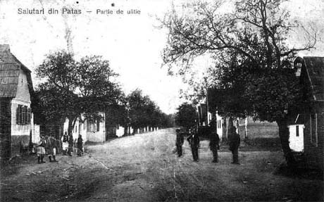 Monografia comunei Patas